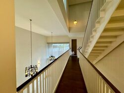 Nim Collection (D28), Terrace #612999731